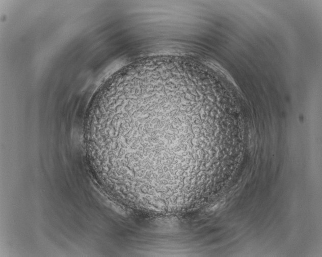 X0000063480882200601231344