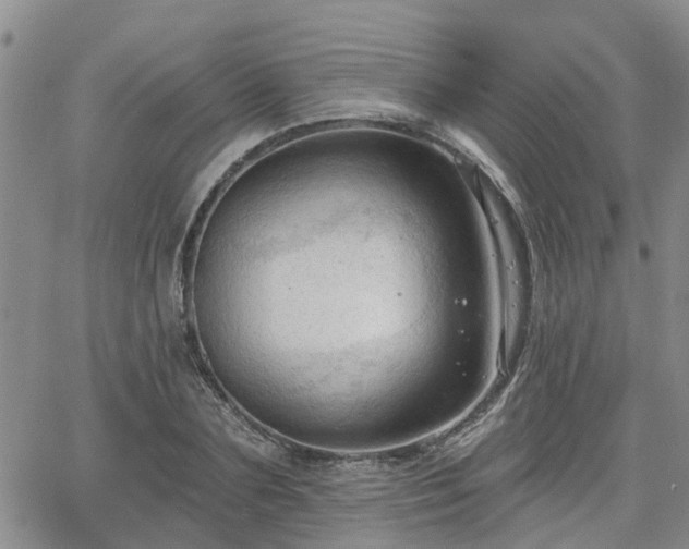 X0000063480883200601231344