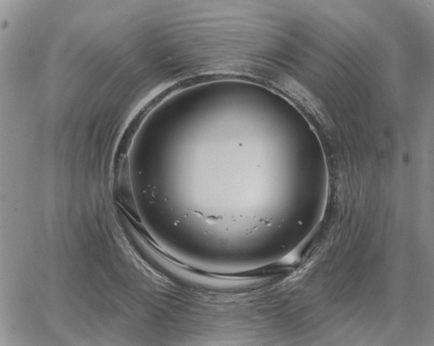 X0000063480884200601231344