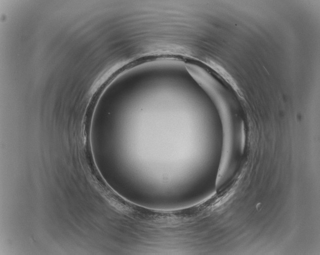 X0000063480885200601231344