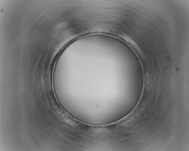 X0000063480886200601231344