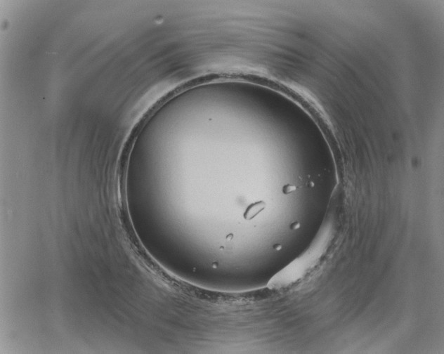 X0000063480887200601231344