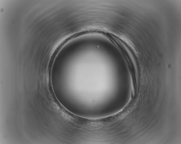 X0000063480888200601231344