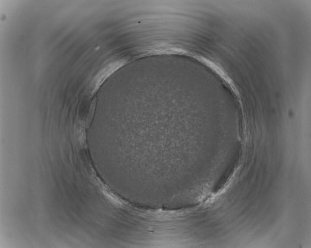 X0000063480889200601231344