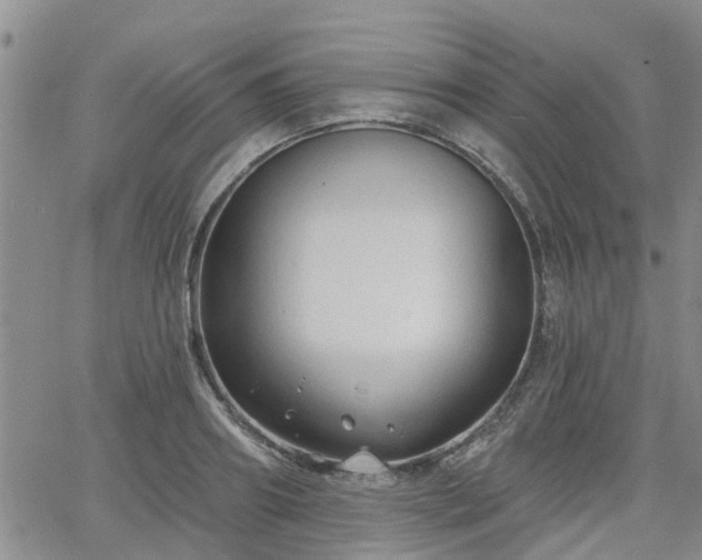 X0000063480890200601231344