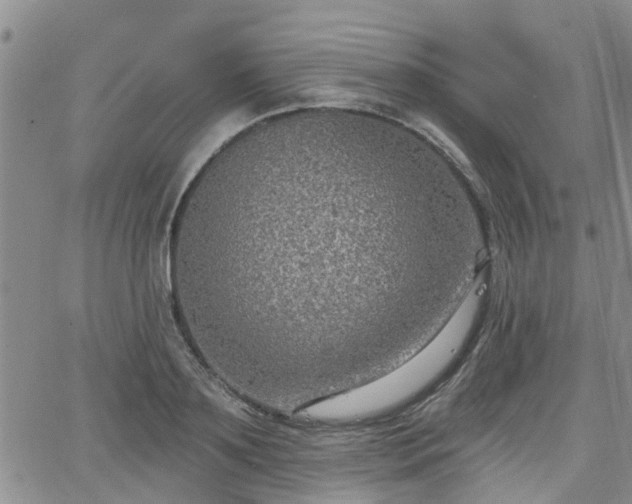 X0000063480891200601231344