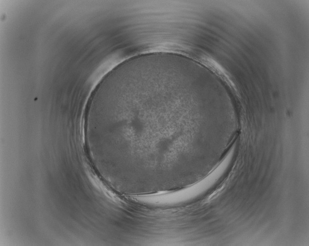 X0000063480892200601231344