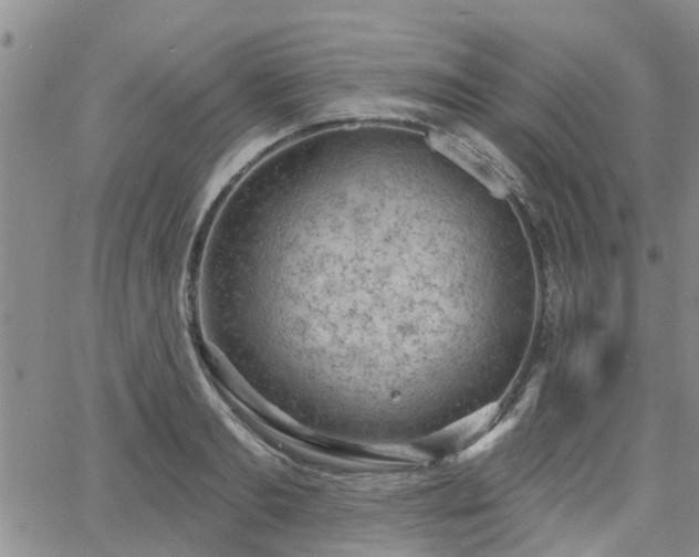 X0000063480893200601231344