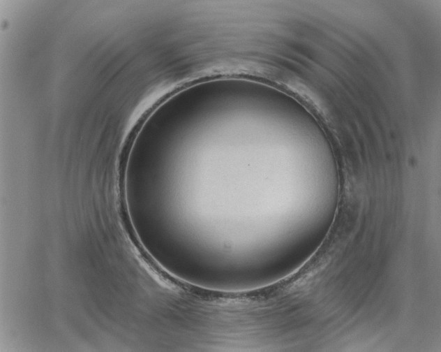 X0000063480894200601231344