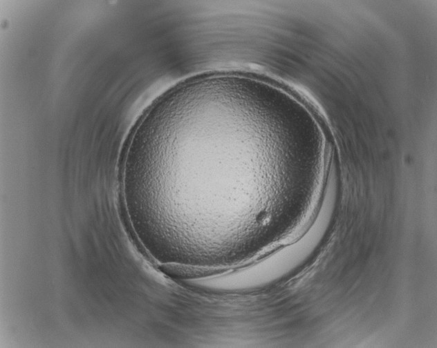 X0000063480895200601231344