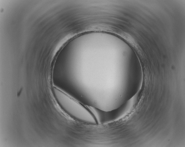 X0000063480896200601231344