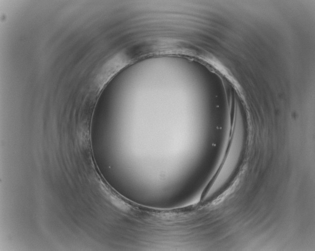 X0000063480897200601231344