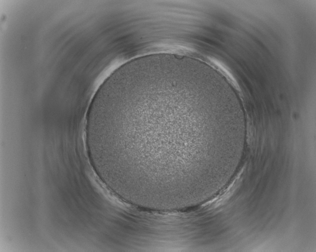 X0000063480899200601231344