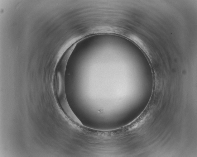 X0000063480901200601231344