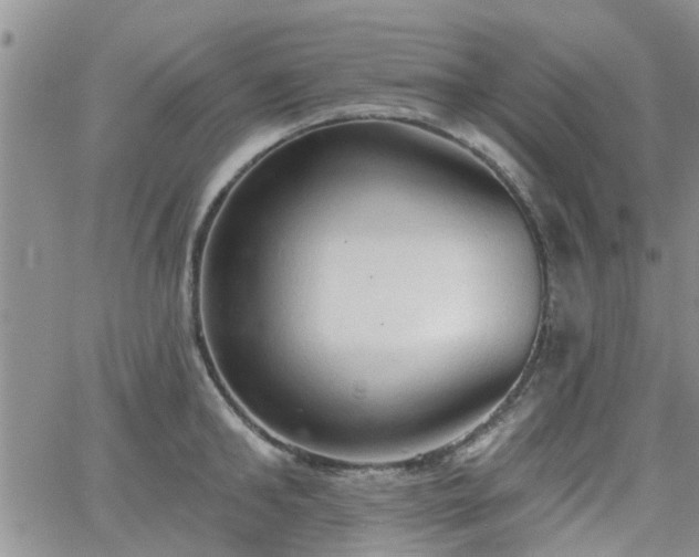 X0000063480902200601231344