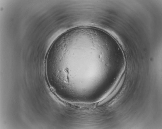 X0000063480903200601231344