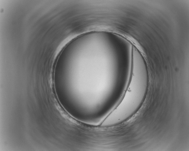 X0000063480904200601231344