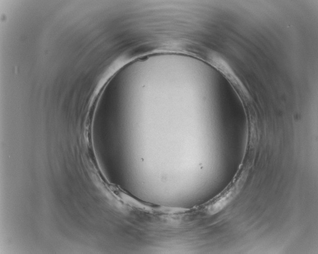 X0000063480908200601231344