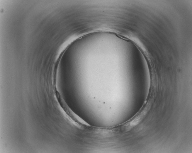 X0000063480910200601231344