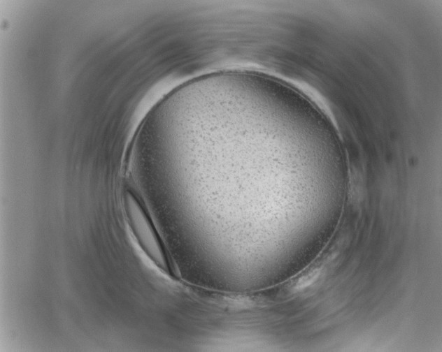 X0000063480911200601231344