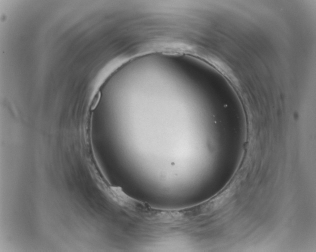 X0000063480912200601231344