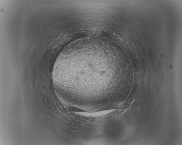 X0000063480913200601231343