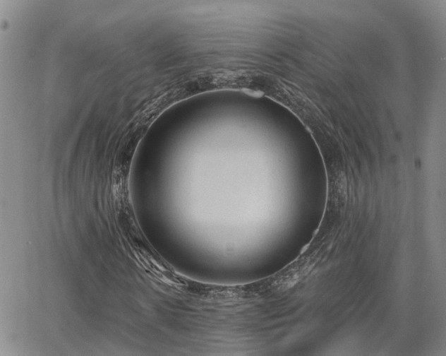 X0000063480914200601231343