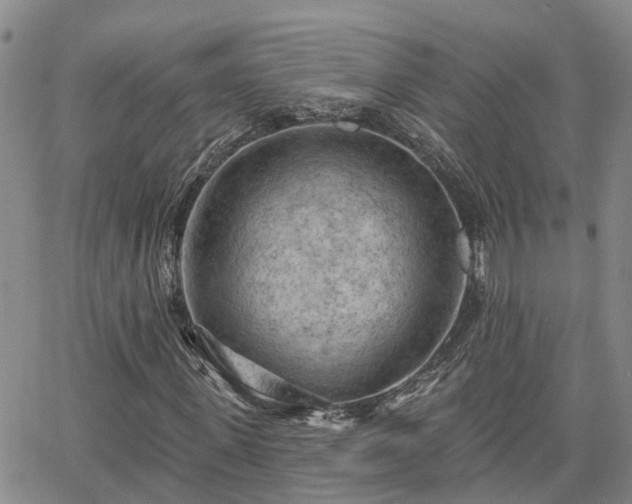 X0000063480915200601231343