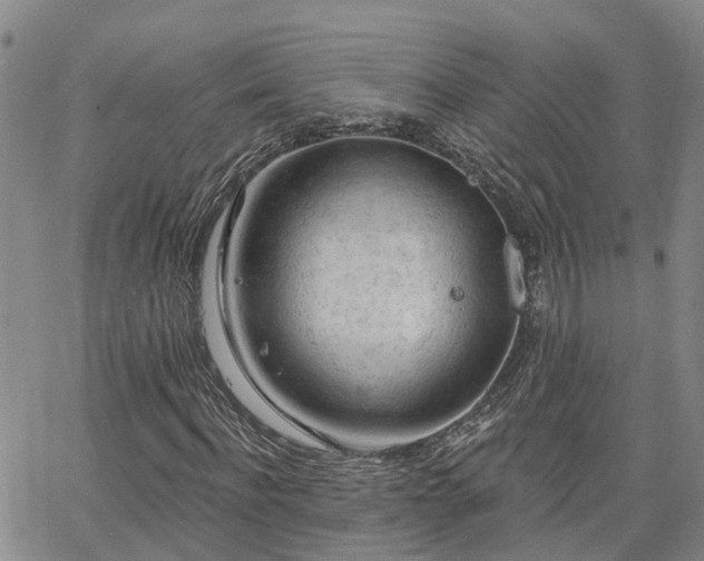 X0000063480916200601231343