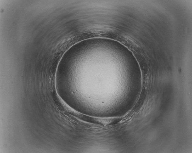 X0000063480917200601231343