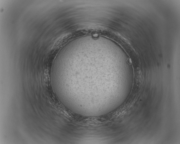 X0000063480918200601231343