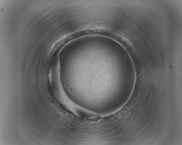 X0000063480920200601231343