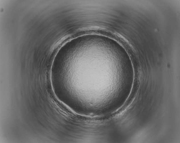 X0000063480921200601231343