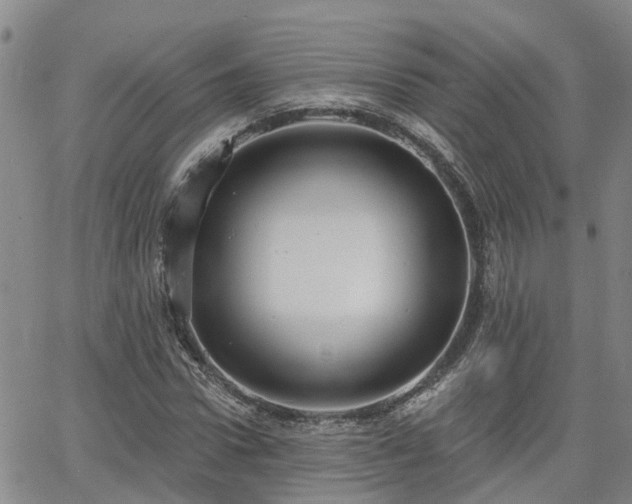 X0000063480922200601231343