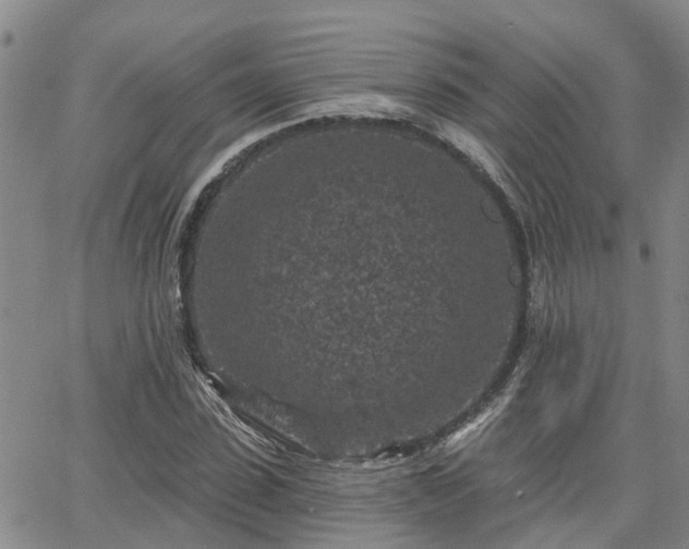 X0000063480923200601231343