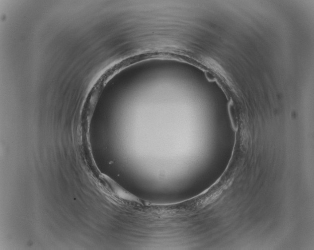 X0000063480924200601231343