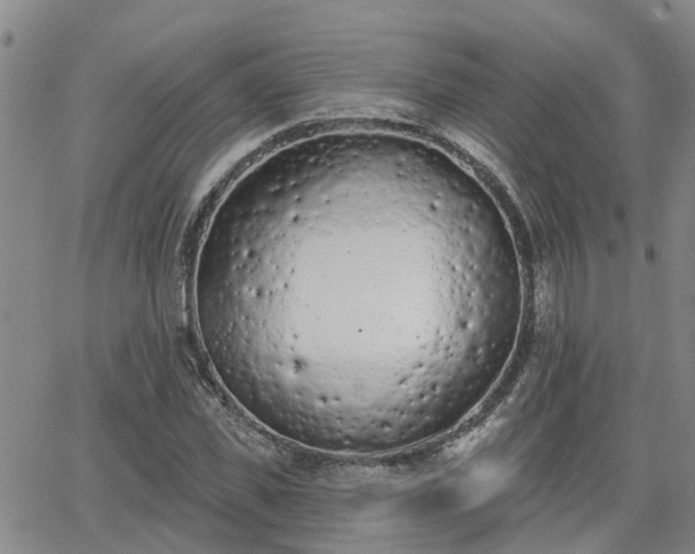 X0000063480925200601231343