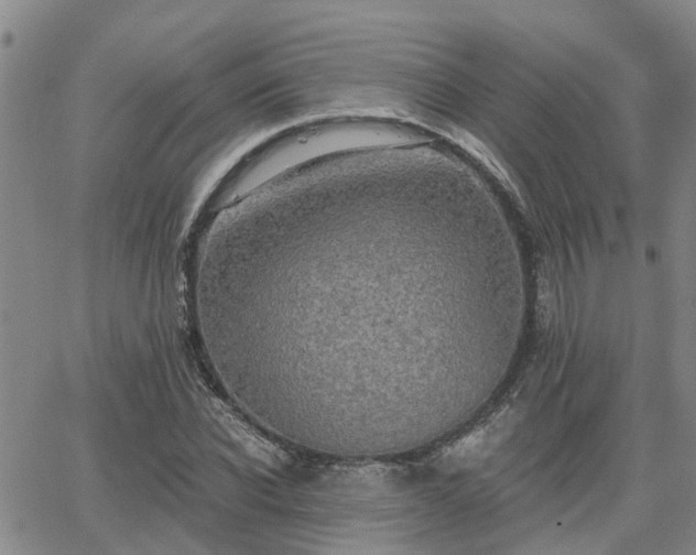 X0000063480926200601231343