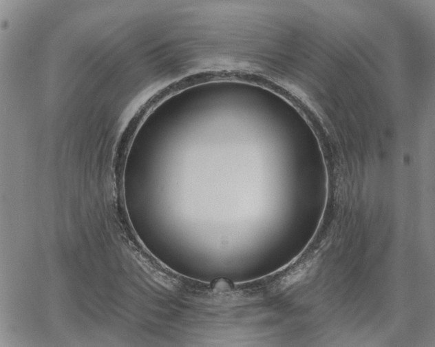 X0000063480927200601231343