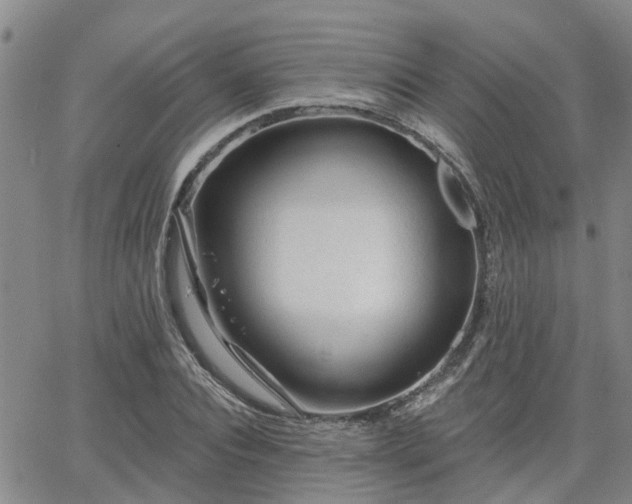 X0000063480928200601231343