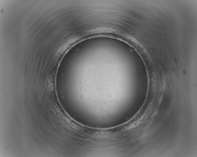 X0000063480929200601231343