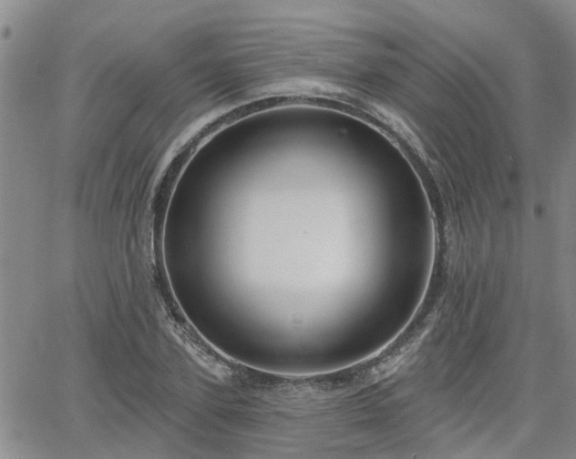 X0000063480931200601231343