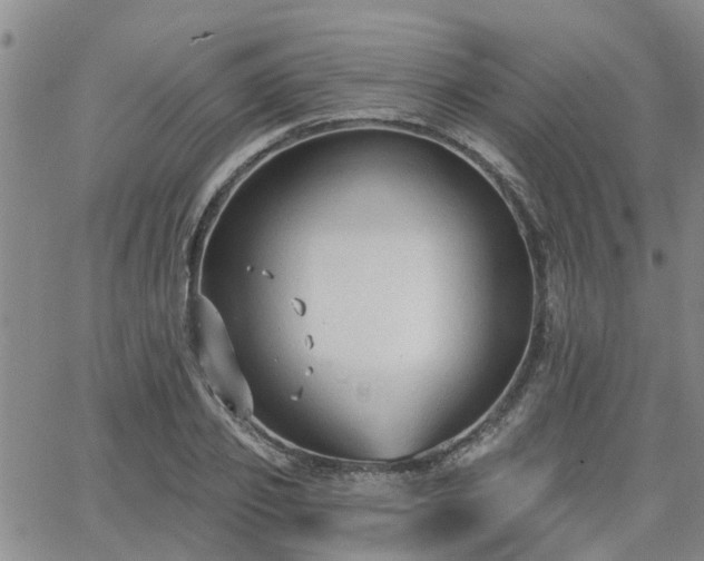 X0000063480933200601231343