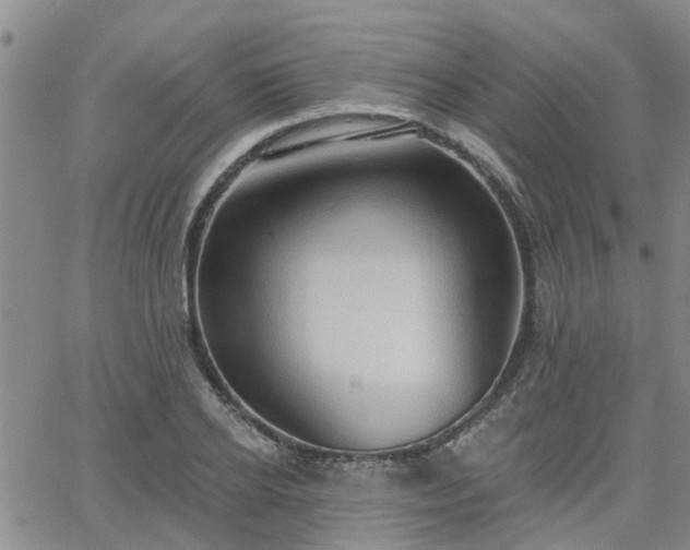 X0000063480934200601231343