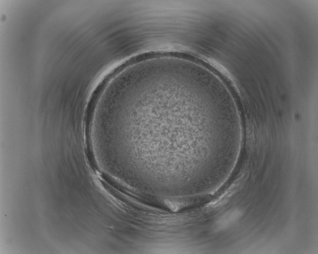 X0000063480935200601231343