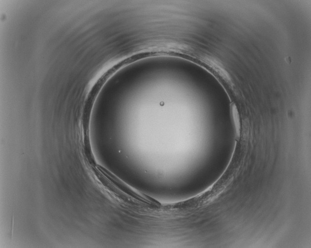 X0000063480936200601231343