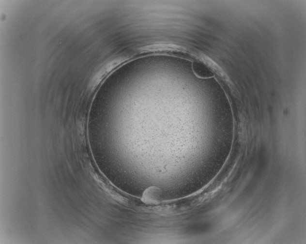 X0000063480937200601231343