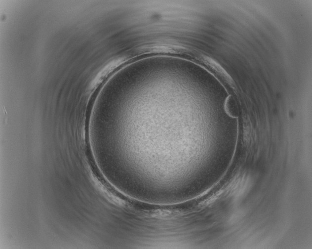 X0000063480938200601231343