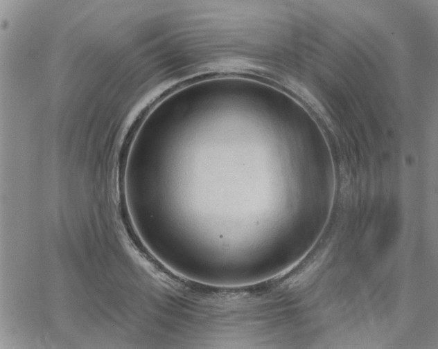 X0000063480939200601231343