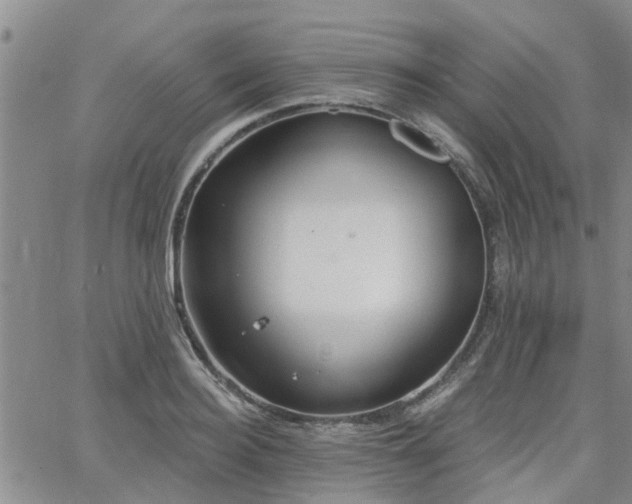 X0000063480940200601231343